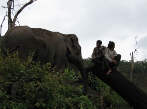 Canon pix June 15_2013 054