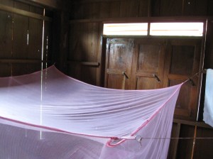 View of the bug entrance to my bedroom.  I would find flying ant wings on the floor each morning.  I made a lovely papyrus stationery out of them.