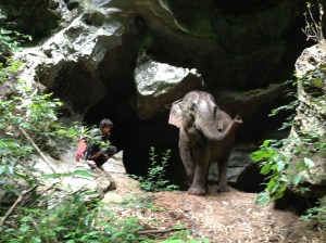 Galllabay with Mana.