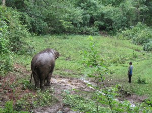 Great wide Tong Dee and Patty Sai-ee
