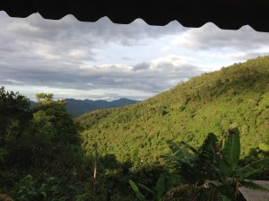 My view while eating dinner