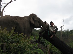 Jordoh's smile.  Singto is behind him.
