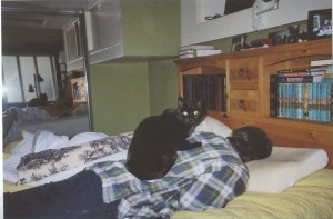 Bandit takes a breath before unleashing another string of obscenities at me.