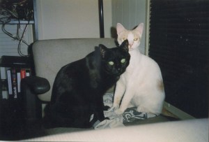 Bandit on the left, Hooper on the right.