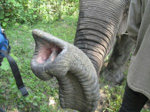 "This thing is loaded."