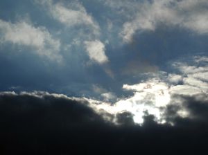 A storm cometh. Who will survive and what will be left of them?