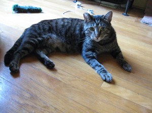 Picasso. "The hell with all a y'all," he hissed, and stormed out of his job.