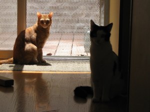 Lyle and Butch silhouette